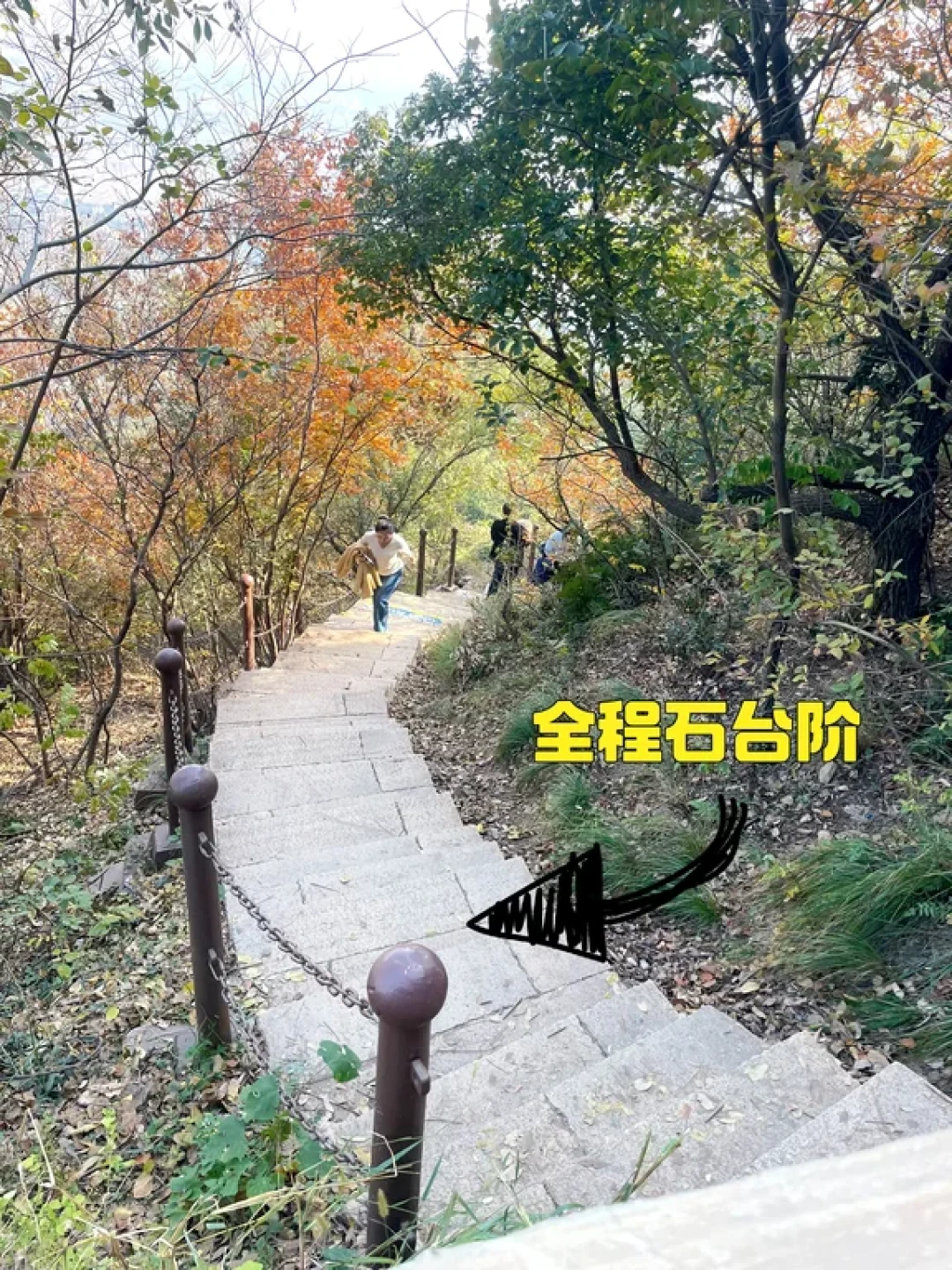 带娃徒步火山🌋无锡阳山保姆级攻略