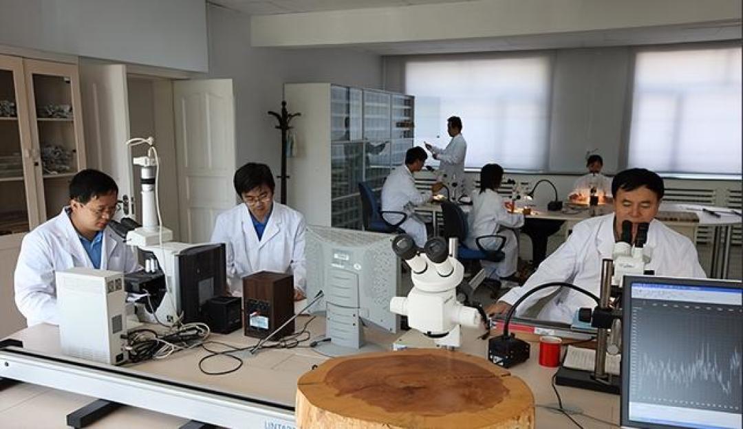量子纠缠才是真内核,科学家重新研究思考,物理教科书或将改写