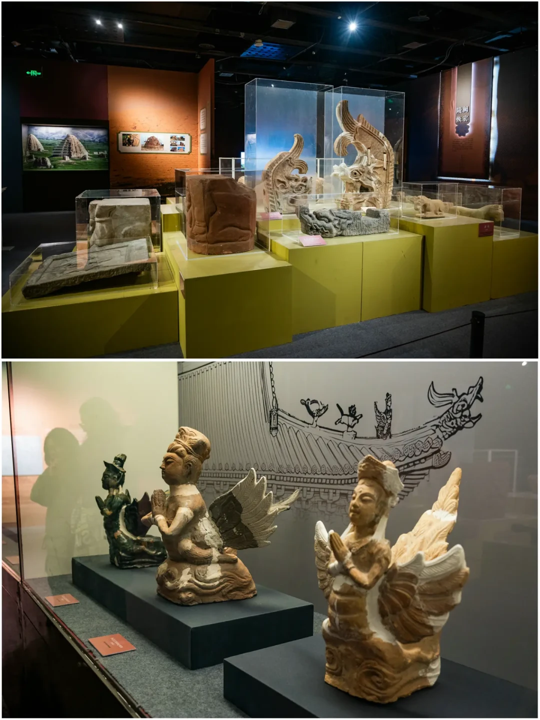 福建省博两场新展不可错过
