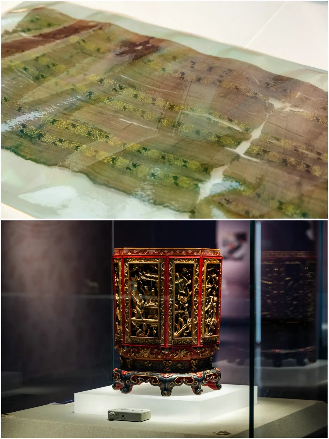 福建省博两场新展不可错过