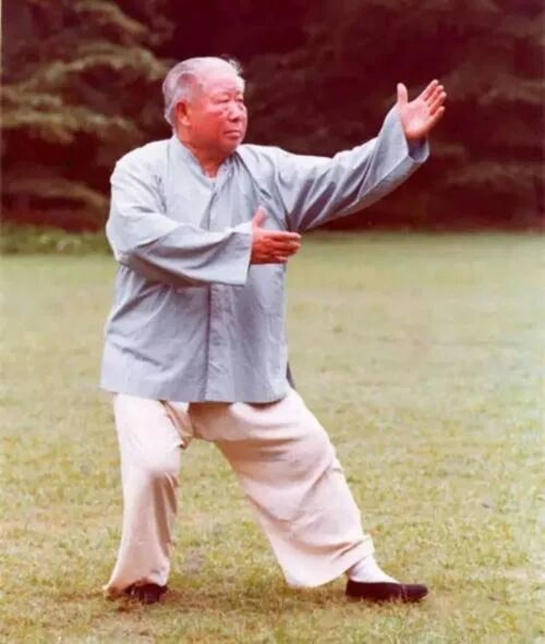 杨式太极拳怎么练?傅钟文先生提出五大要点
