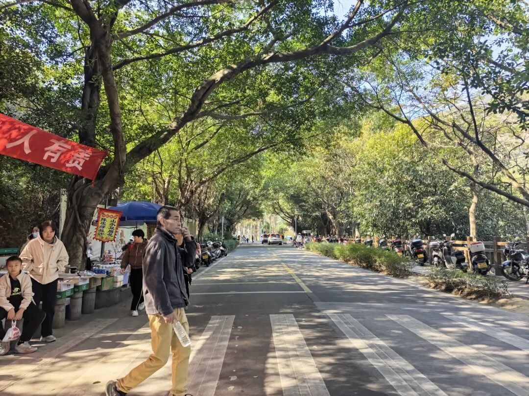 周末去哪玩 I 江门圭峰山徒步(D线上 马仔石线下)