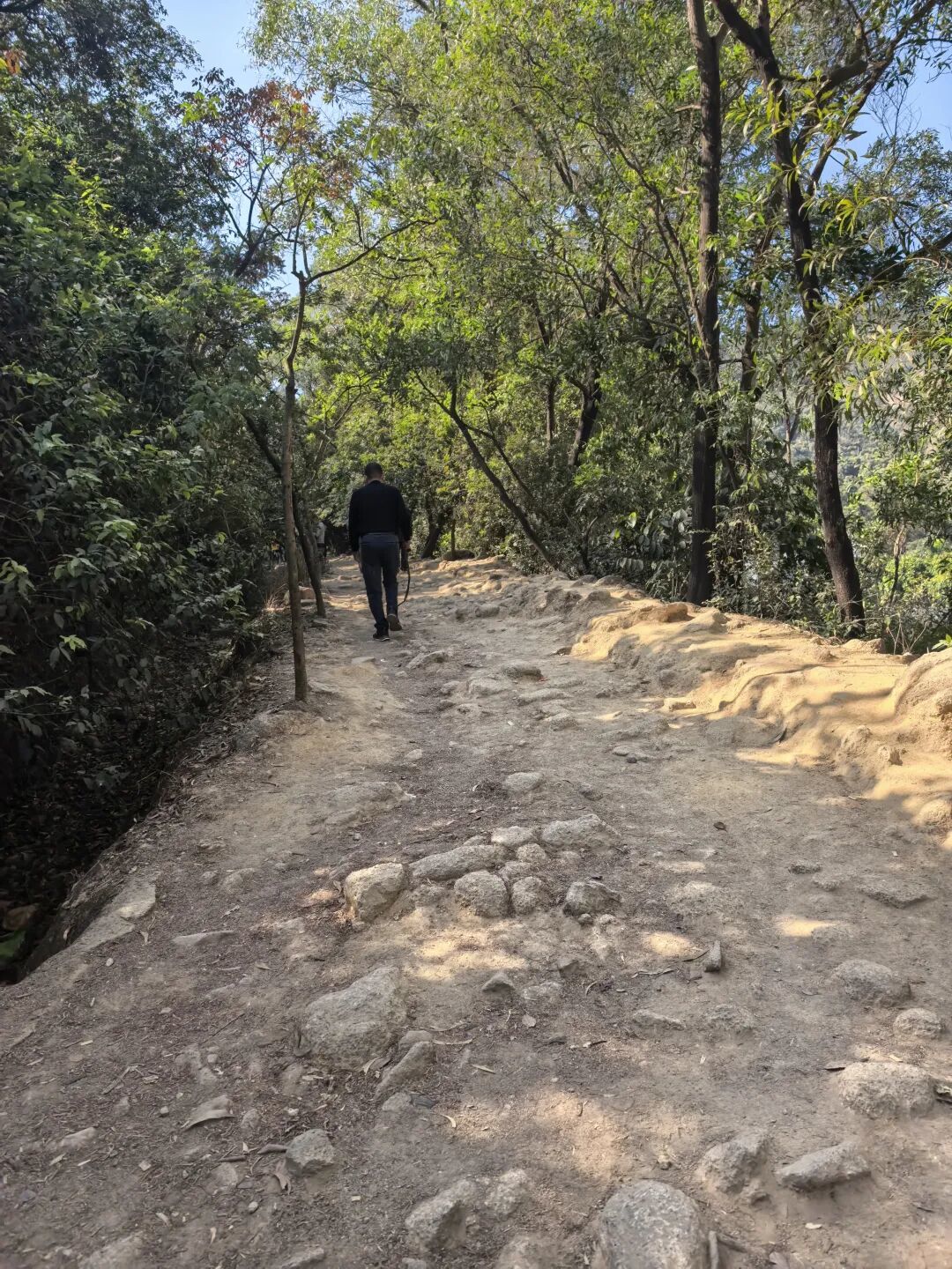 周末去哪玩 I 江门圭峰山徒步(D线上 马仔石线下)