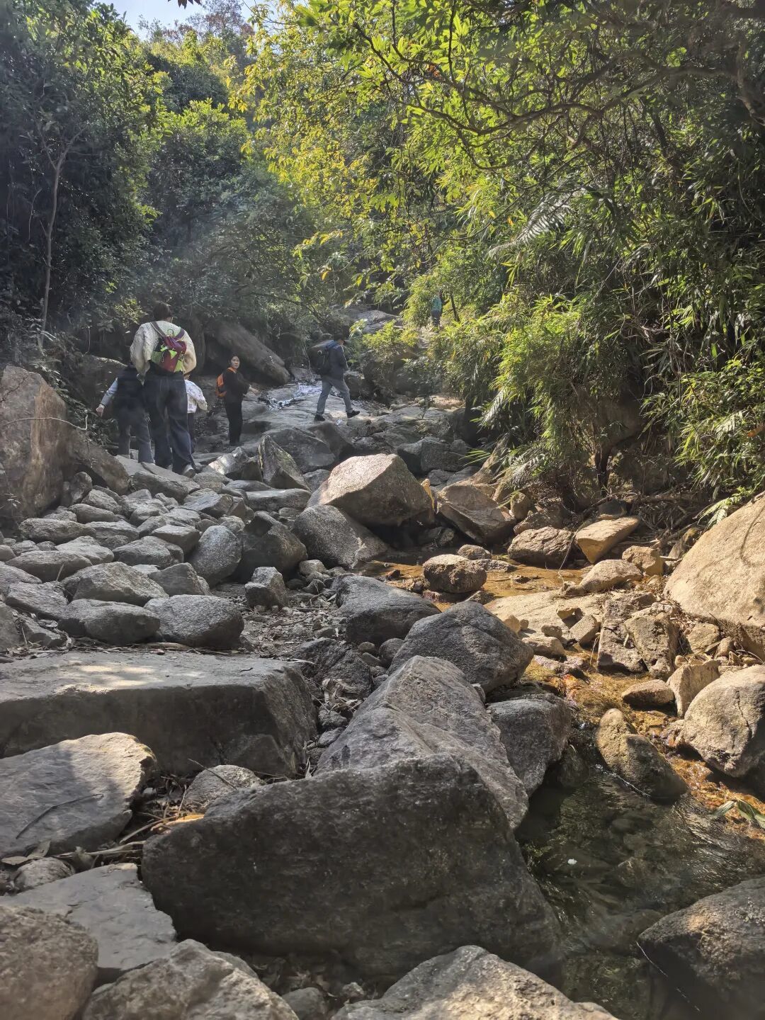 周末去哪玩 I 江门圭峰山徒步(D线上 马仔石线下)