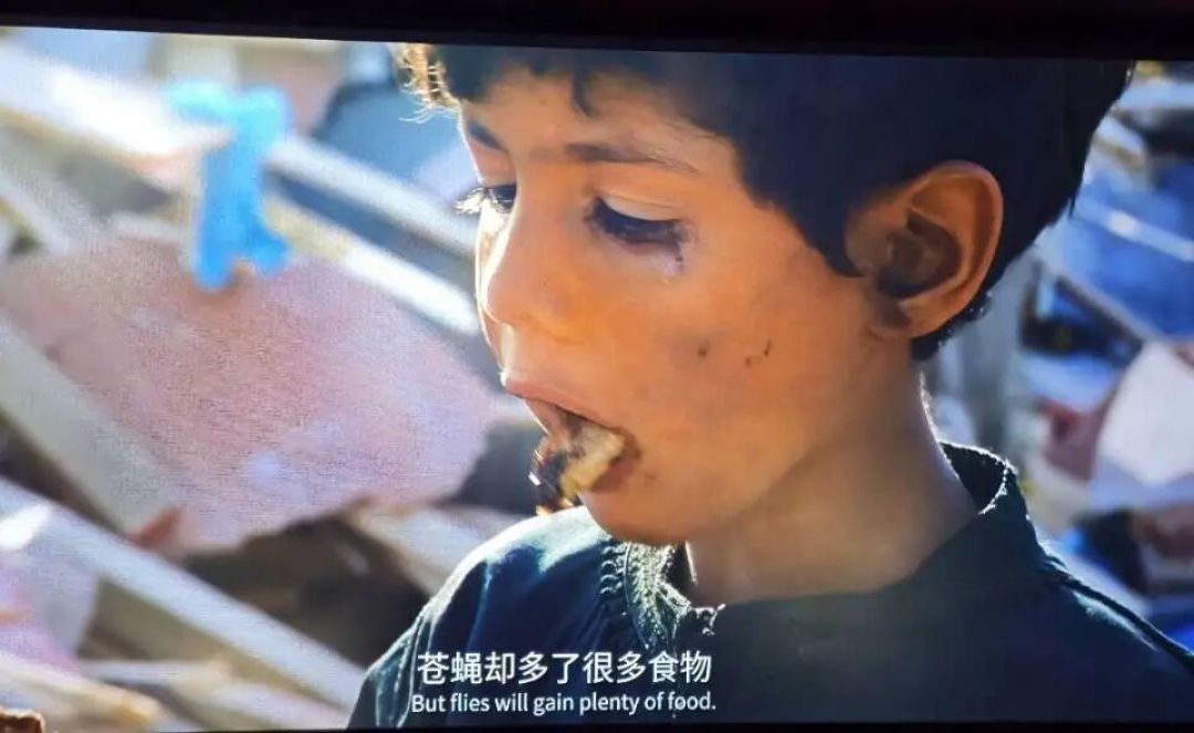 电影《用武之地》的观影心得与现实写照（和平的珍贵与人性的展现）