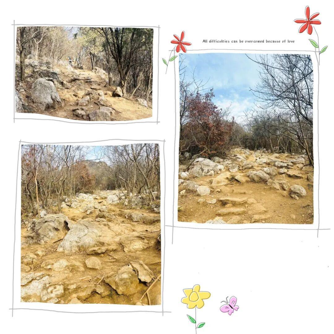 新年第一爬!新手也能轻松get的亲子友好老山野道环线徒步,爬山还能撸猫祈福