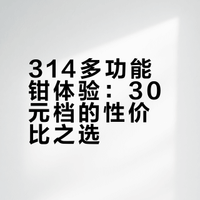 [EDC]廉价尼龙推荐第八期：314多功能钳