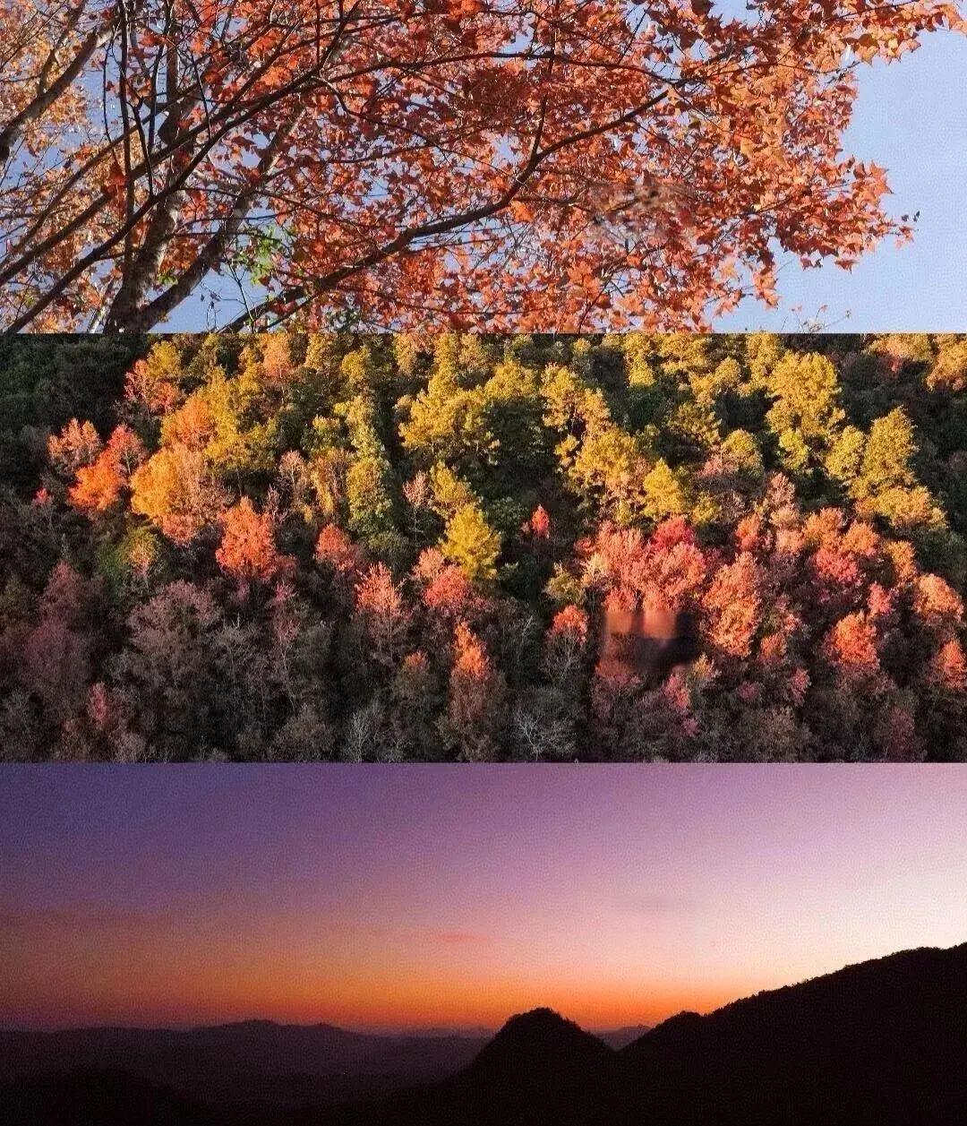 探秘广东“香格里拉”，云髻山邂逅最美秋色