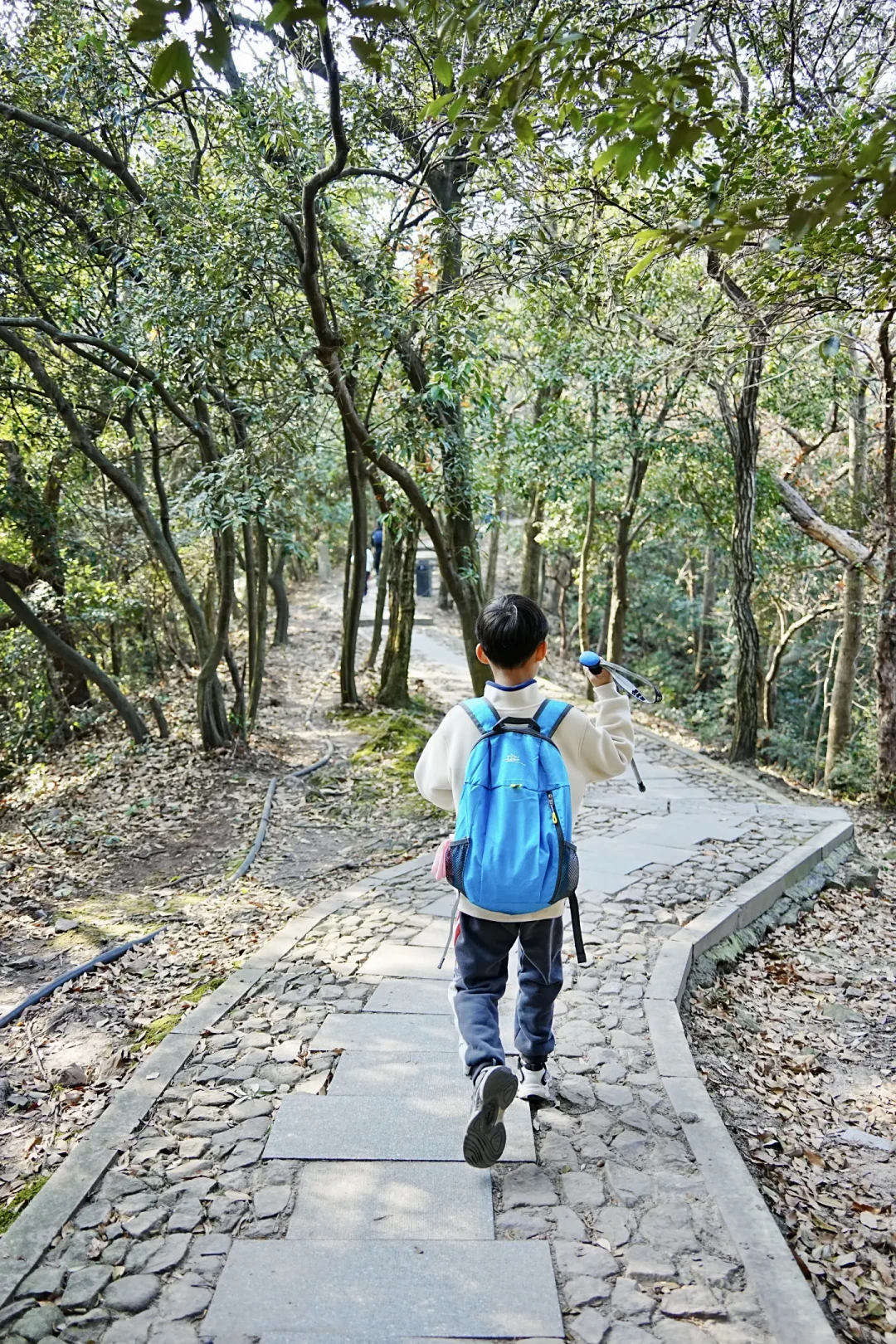 亲子徒步天花板|小段标毅线带娃野路探险!