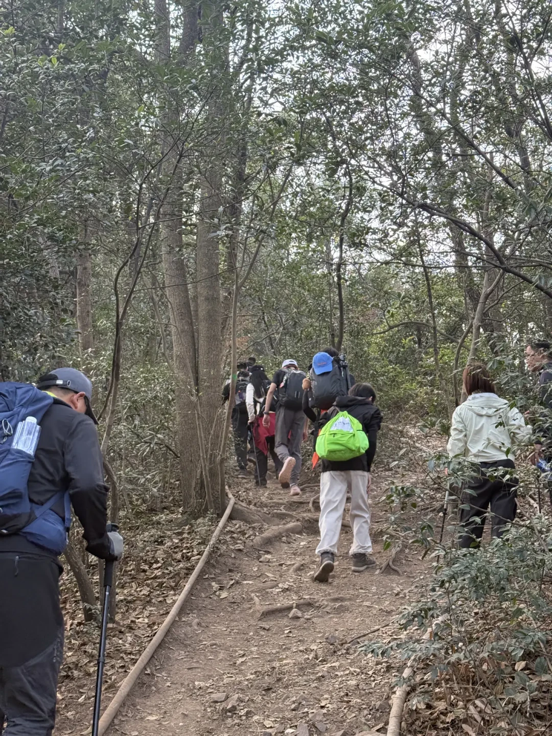 亲子徒步天花板|小段标毅线带娃野路探险!