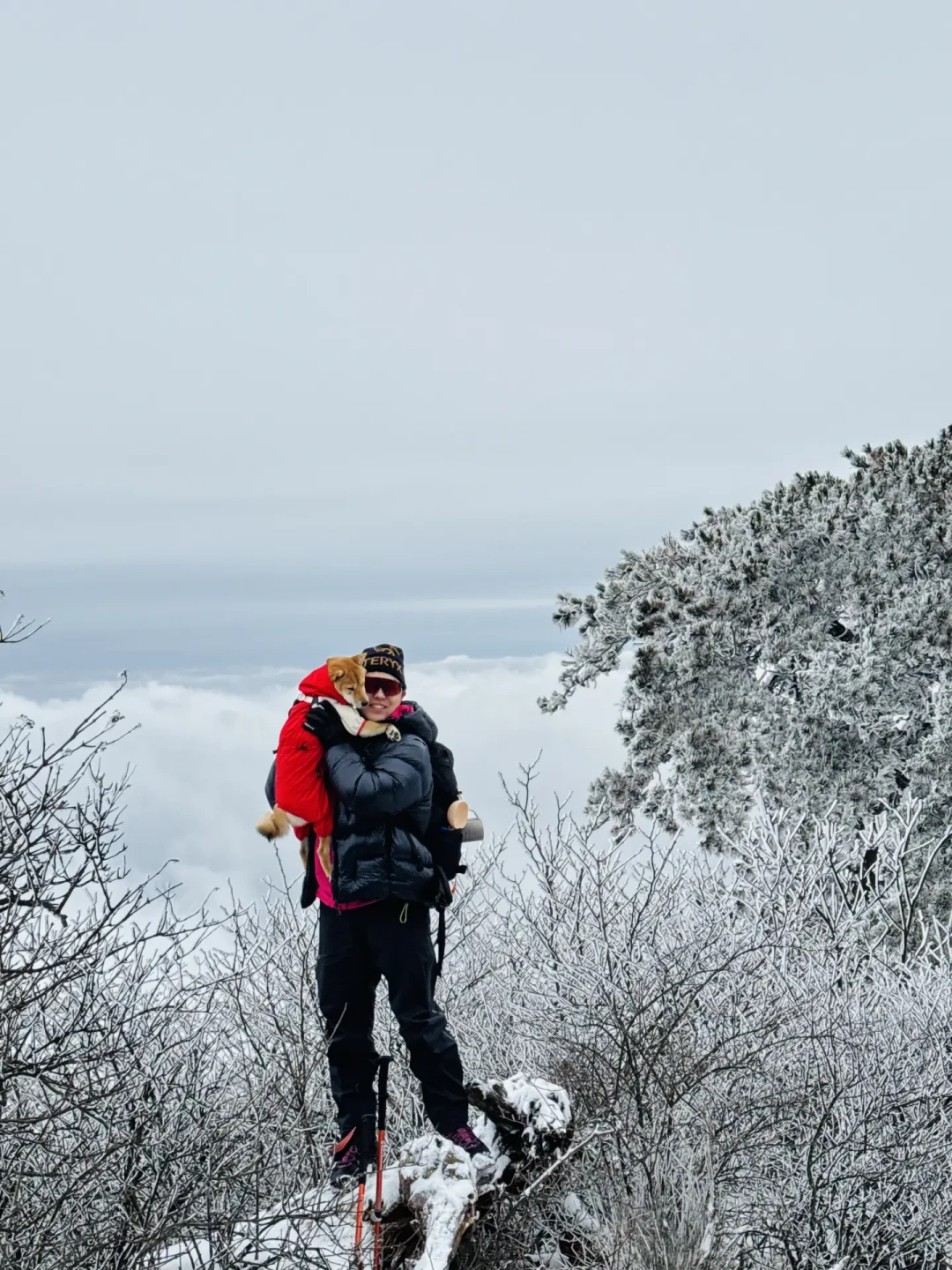 桐杭岗———杭州的观雪顶流