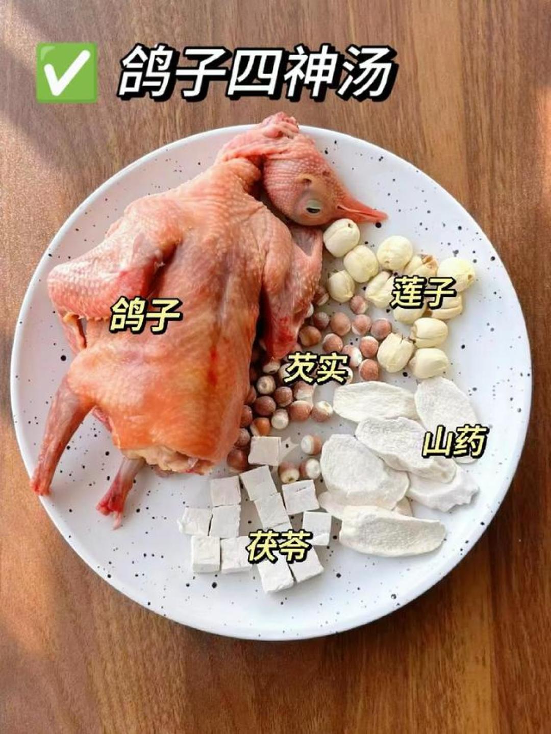 一鸽胜九鸡！秋冬6款鸽子汤封神😭 暖心暖胃，全家滋养少生病～