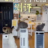 宠物空气净化器怎么选?5个参数不踩坑!
#宠物空气净化器 #空气净化器吸猫毛 #空气净化器推荐#空气净化器吸猫毛 #舒乐氏空气净化器