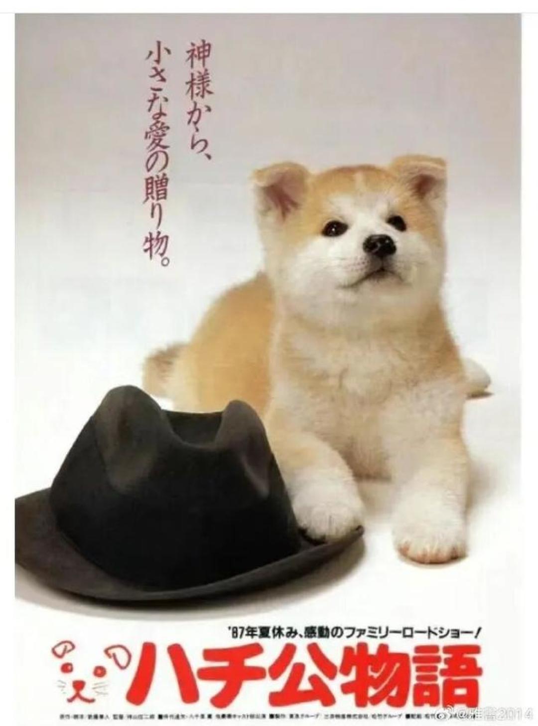 著名演员逝世,享年92岁!留下众多不朽之作,《忠犬八公物语》打动无数人!中国外交部:表示哀悼!