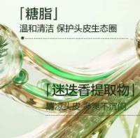 2026阿道夫哈利波特绿野荣耀香：香氛去屑洗发水推荐的魔法洗护