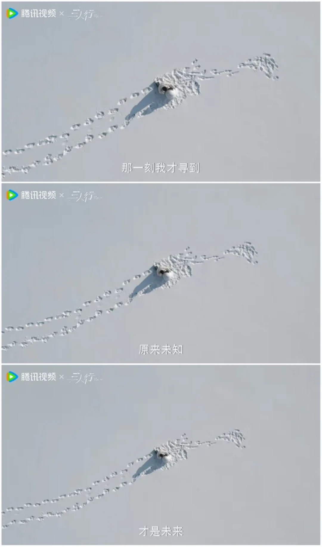 终于看完了《三人行》,这个剧太值得了。