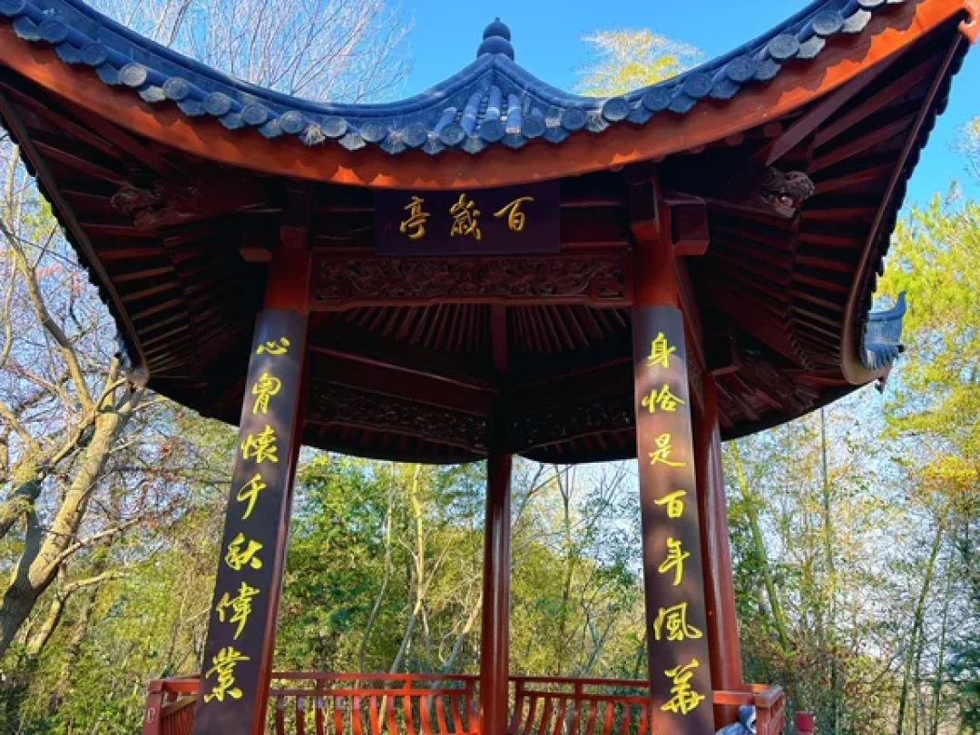东钱湖青雷寺环线|6.2km亲子徒步闭眼冲!