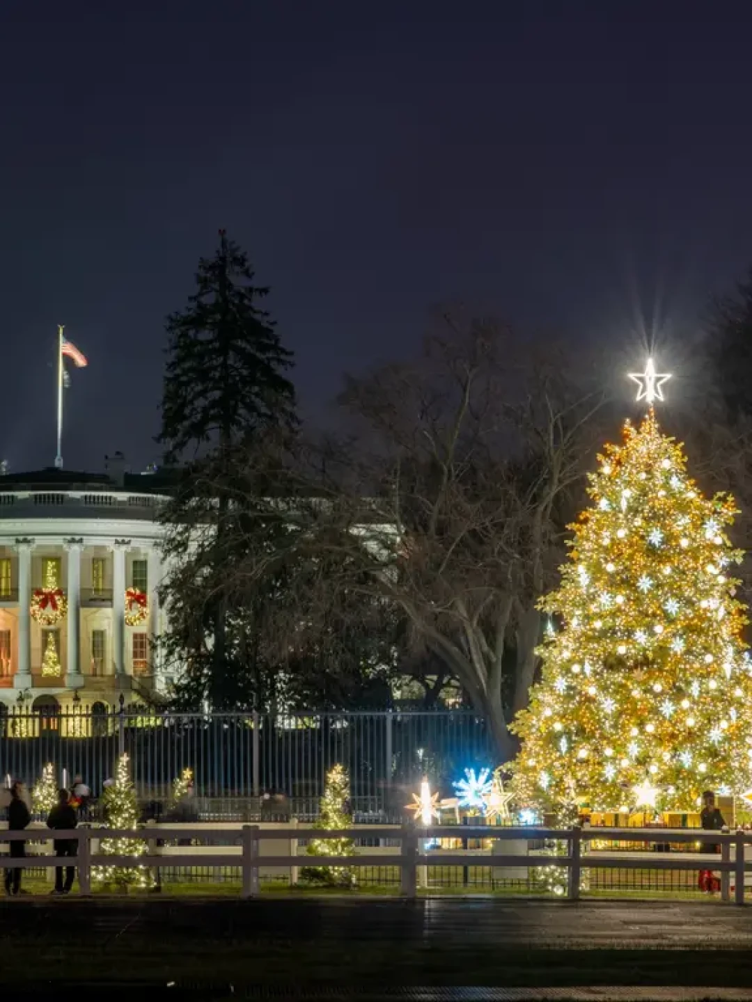 DC圣诞树🎄