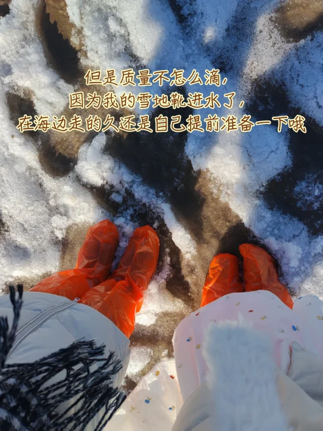 滨海新区看海鸥吃+玩+拍照 全攻略