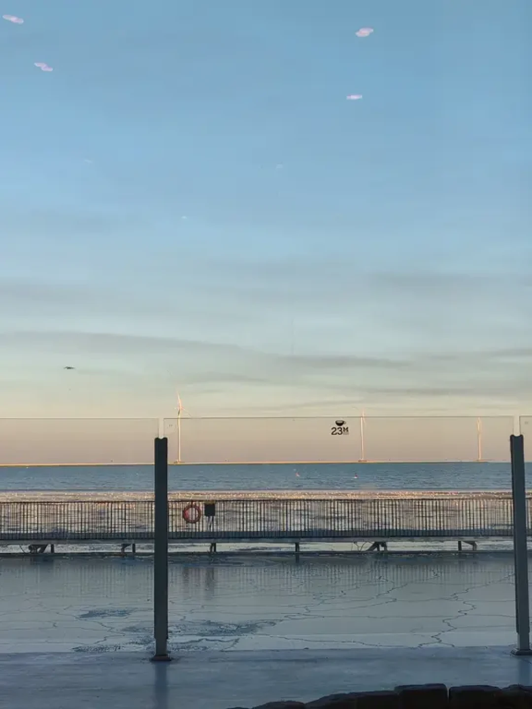 滨海新区看海鸥吃+玩+拍照 全攻略