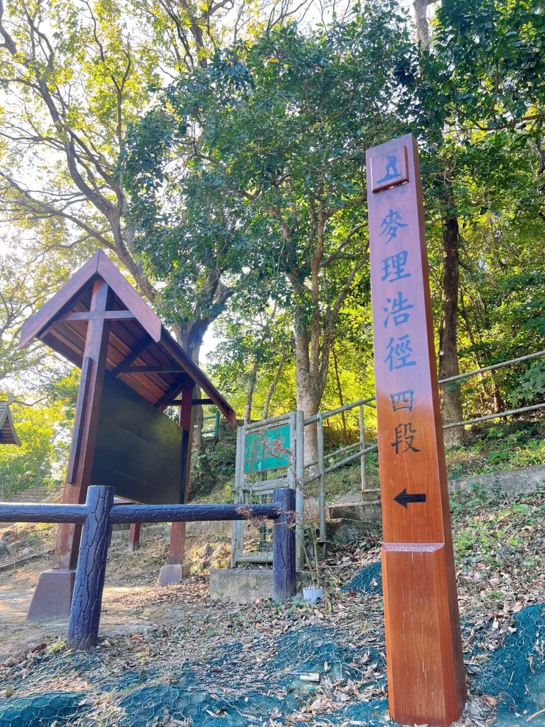 香港徒步丨No.24 给所有人安利这条山海徒步路线!太震撼了!