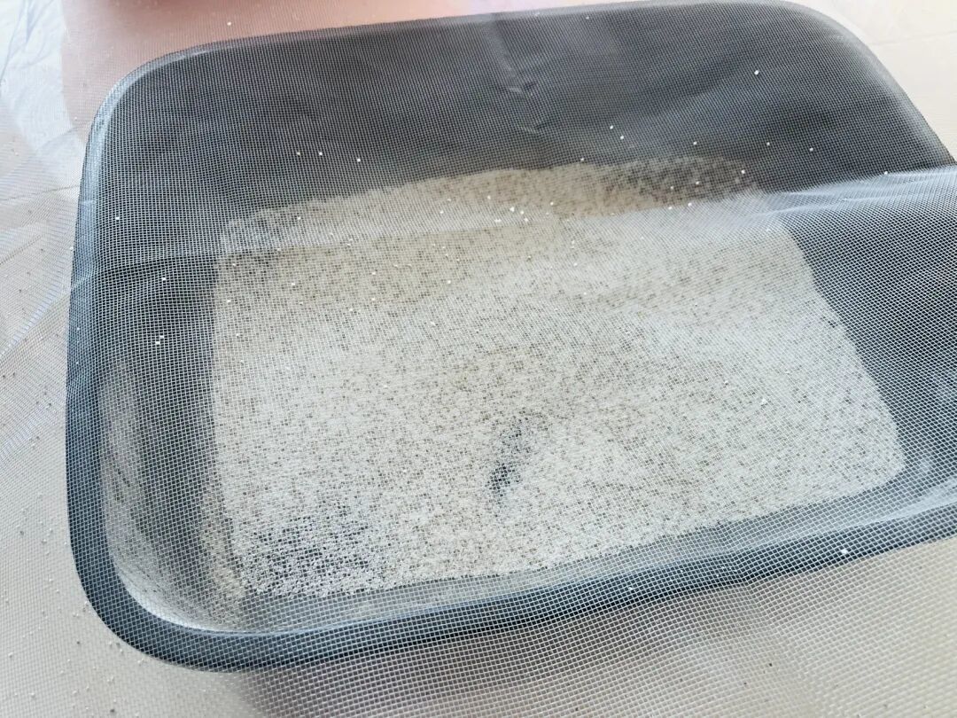 养猫的过程充满了各种琐碎往复的小问题