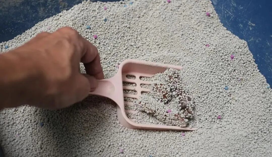 猫砂比米贵