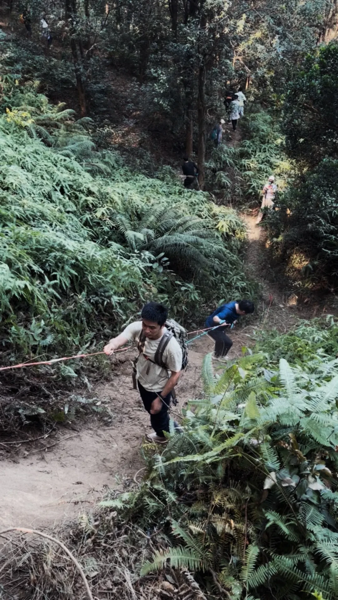 爆肝12小时挑战全网爆火的大夫山“画马”！