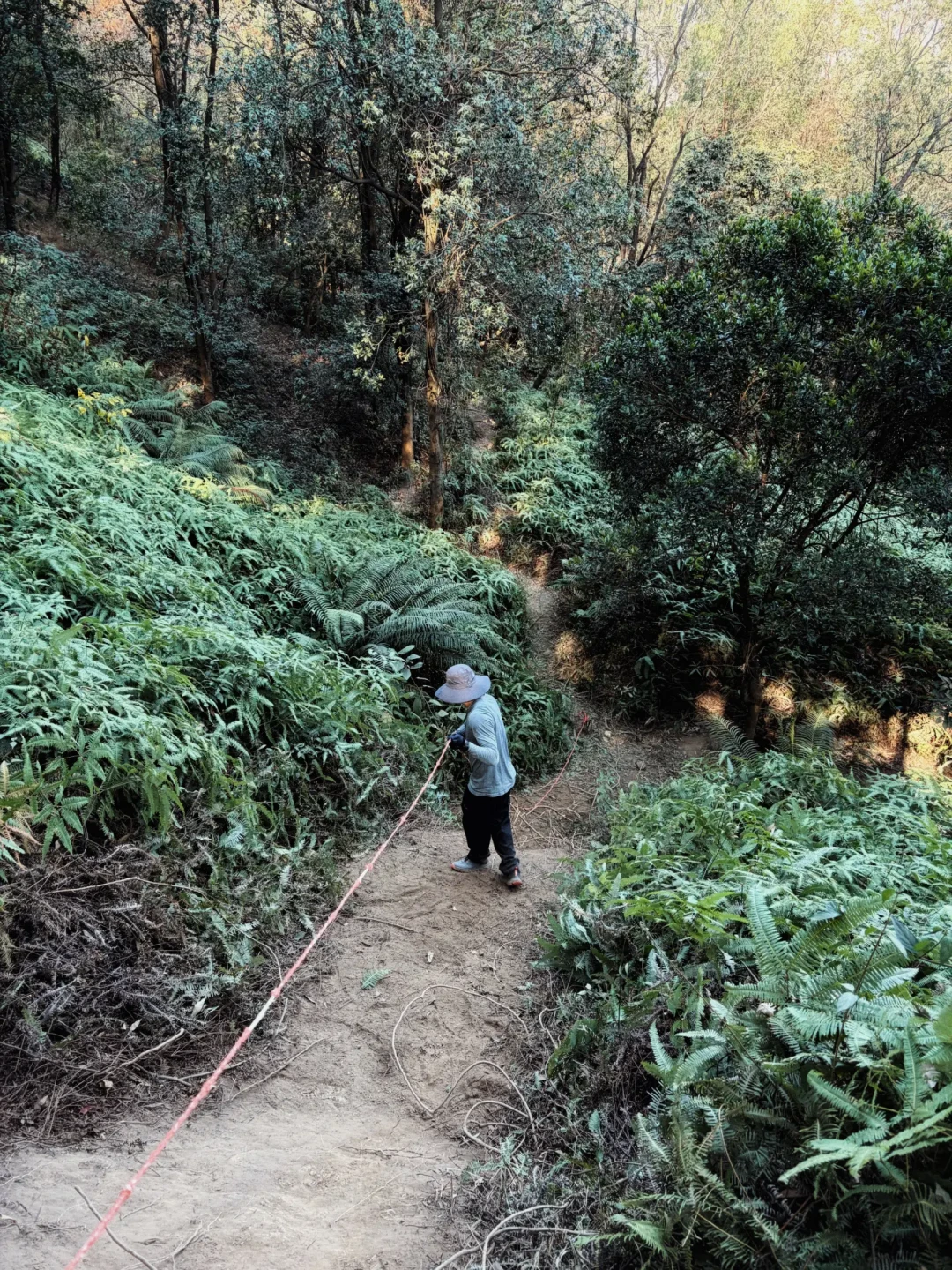 爆肝12小时挑战全网爆火的大夫山“画马”！