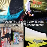 巨幕电影联名特展 科技馆你还瞒着我们什么