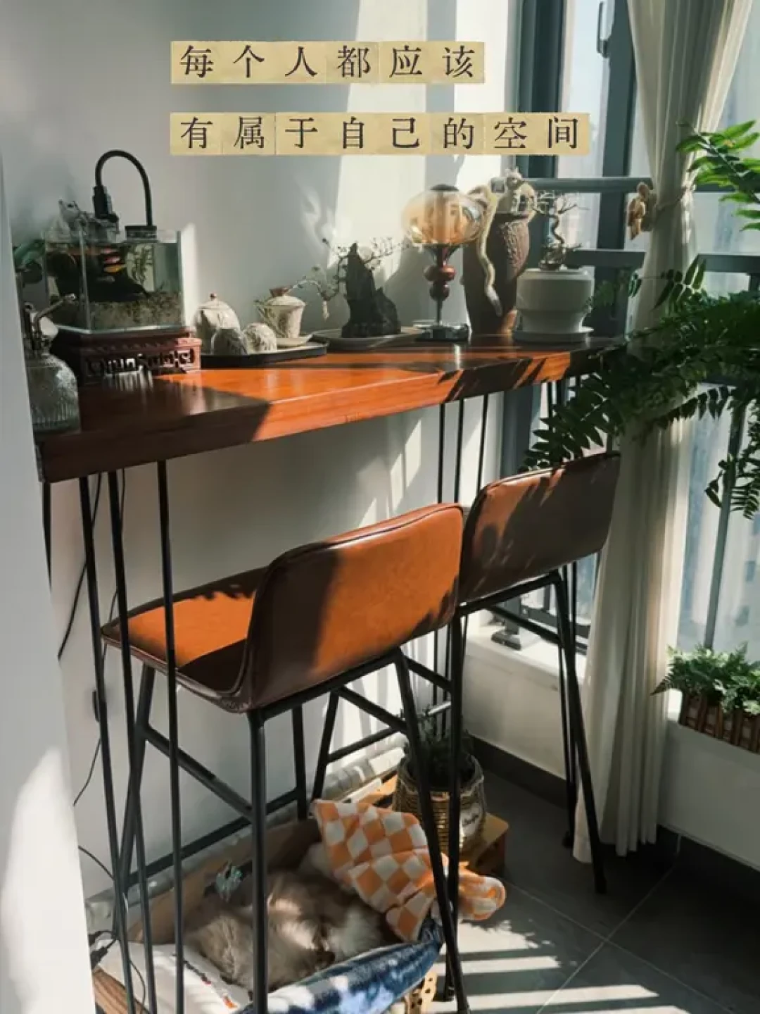 30➕告别备孕焦虑,备孕生活安排攻略❗️