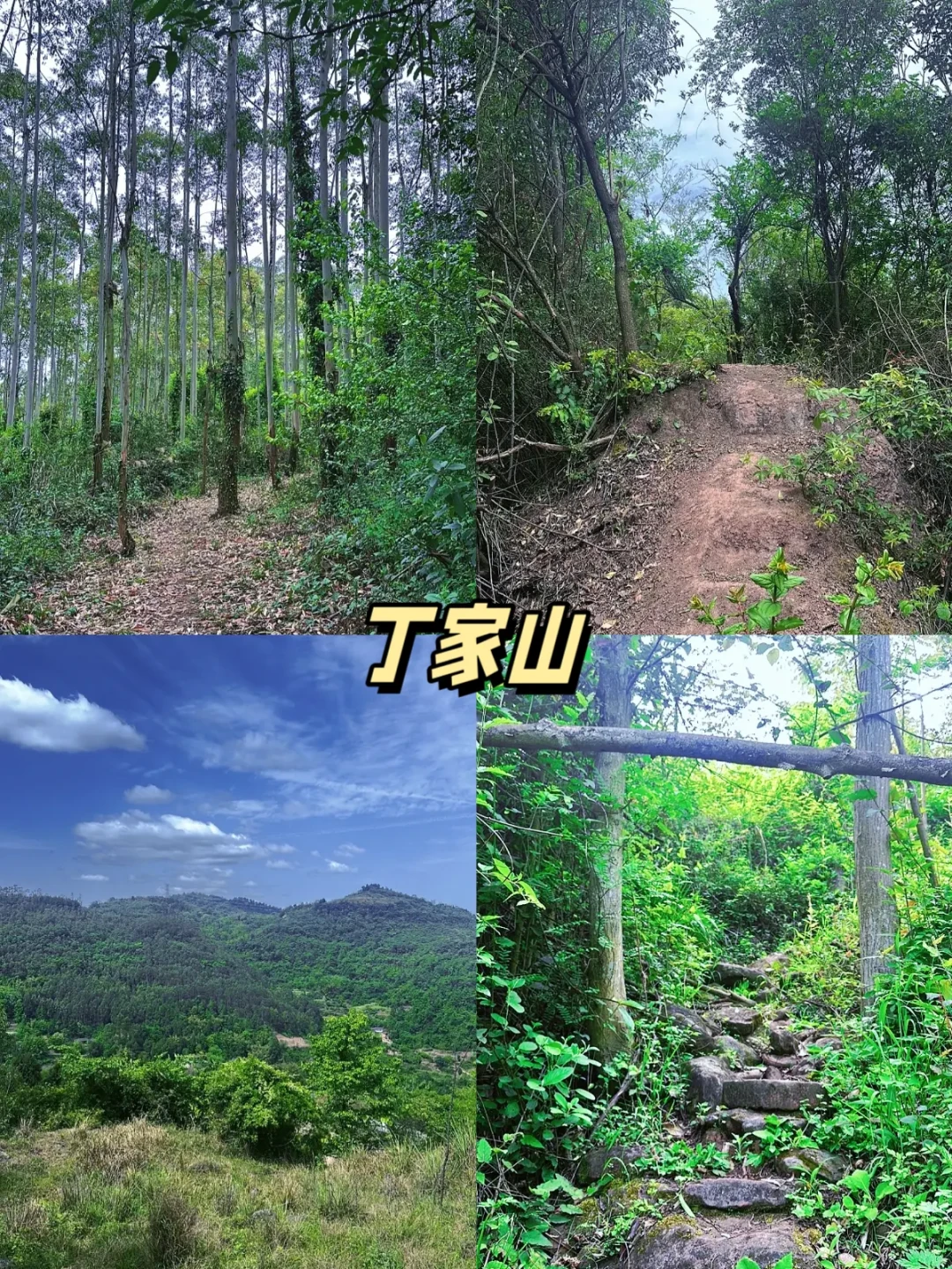成都周边 | 七大经典🚶♂徒步路线分享