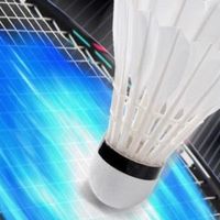 年度断舍离幸存者：我的李宁雷霆小钢炮，羽球场上的本命拍。