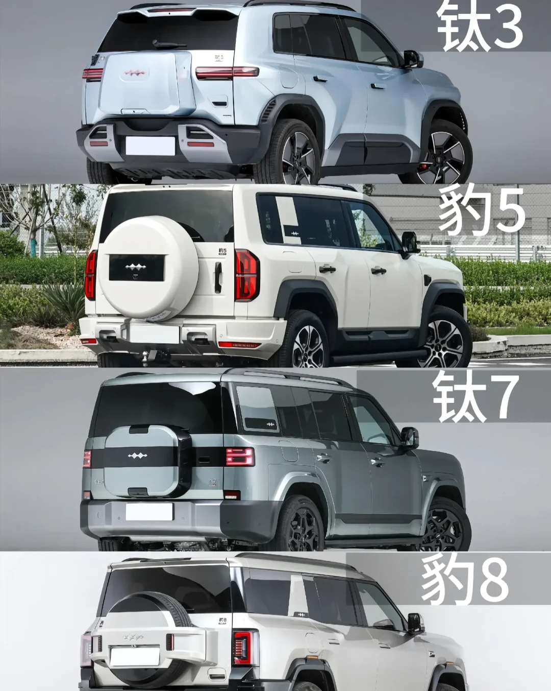 方程豹双线布局,解析豹与钛家族