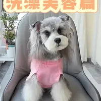 Vlog｜No.3 一个男生低成本养好狗狗之洗澡美容篇 #雪纳瑞 #低成本养狗 #宠物美容 #萌宠出道计划