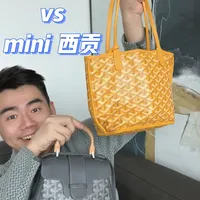 Goyard测评｜minitote Vs mini西贡
