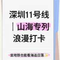 深圳11号线：地铁上的山海漫游指南