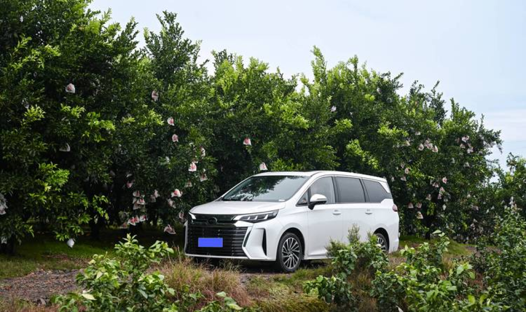 至高省 2.4 万 + 抢 “大湾鸡”!10 万级全能 MPV 闭眼冲传祺 M6-预算十万左右MPV