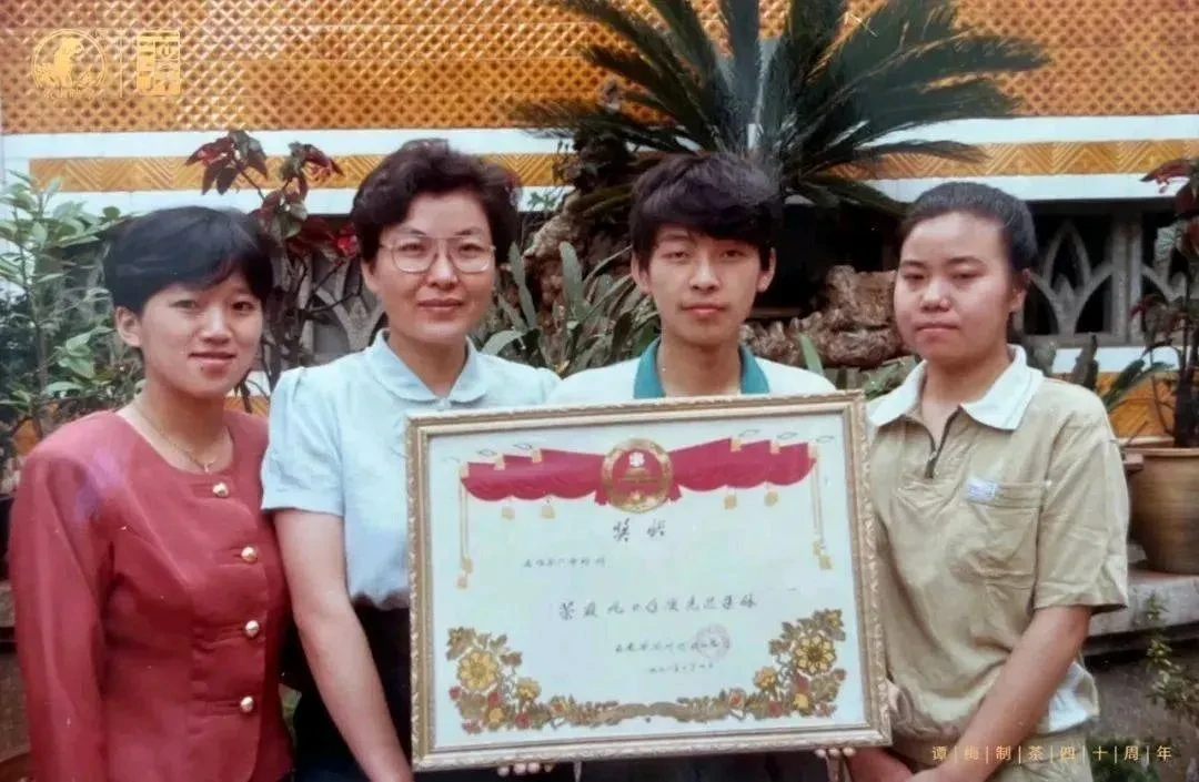 辉煌十年,如今复出