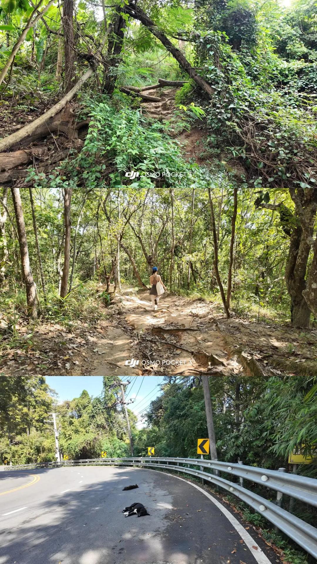 清迈素贴山反穿徒步｜两小时下山的满分路线