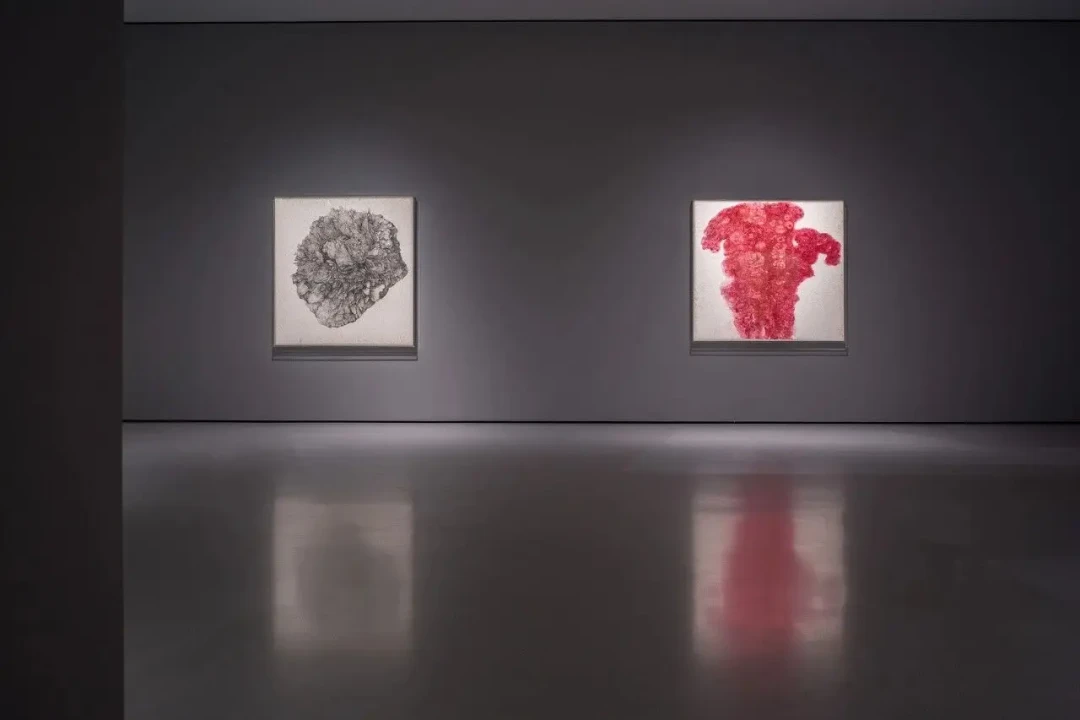 穿越北宋晚明！台湾水墨画家大陆最大个展