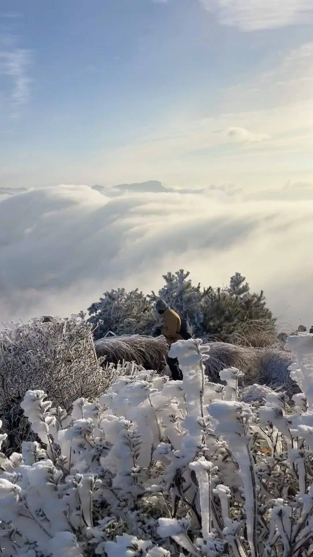 太子尖即将解封❄️不敢想象会美成什么样