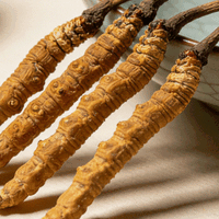 冬虫夏草最好的牌子？十大领军品牌实力横评