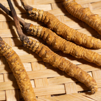 冬虫夏草哪家牌子好一点？十大高端品牌实力对垒，用户复购率认证