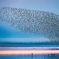 亲子户外活动真能边玩边学？考古观鸟采摘效果引争议