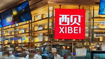 罗永浩回应西贝关店：企业倒闭因自身问题
