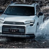 年度车主TOP榜 ：开了一年这电车，满意和劝退的都掏心窝说