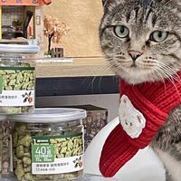 新年幼猫营养餐单：自制鲜食+网易严选零食，健康化毛双达标