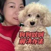 狗狗总吠叫?分清楚这4种类型再解决!#狗狗训练 #宠物行为 #科学养宠#狗狗 #萌宠