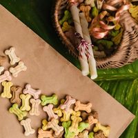 DNA+AI定制宠物零食？宠物零食四大创新趋势